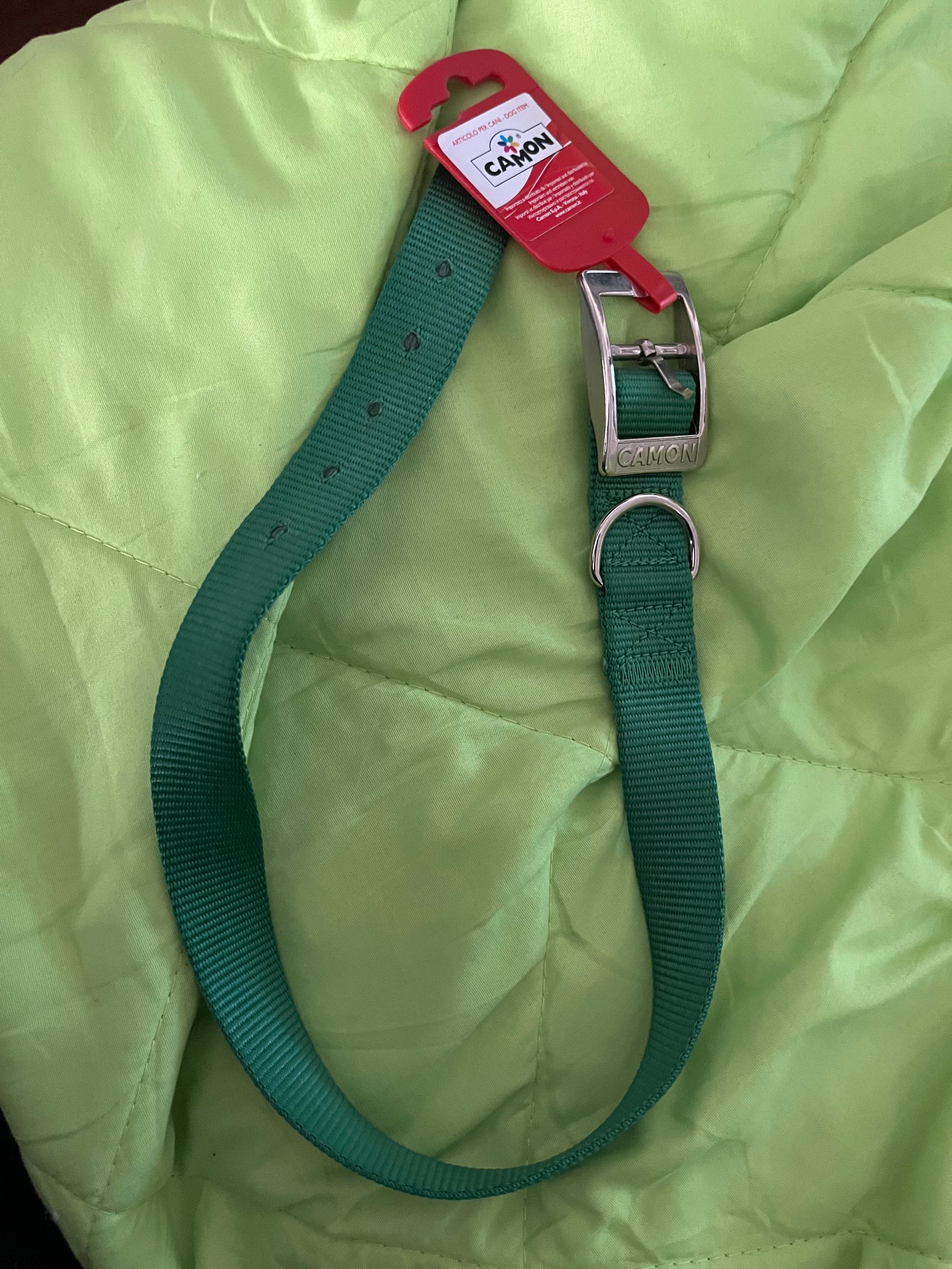 Collare per cani taglia XL verde