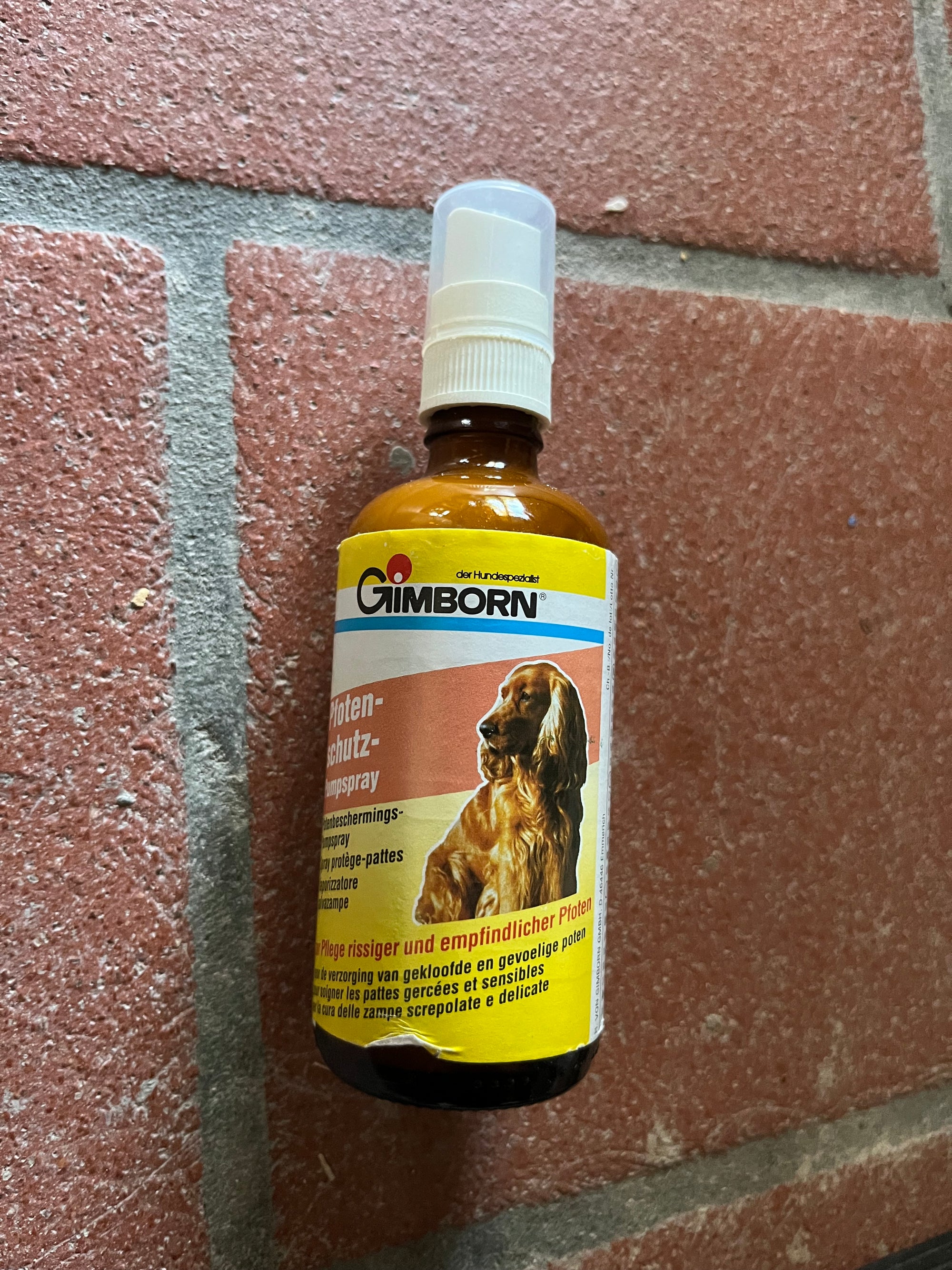 Vaporizzatore lava zampe per cani o gatti