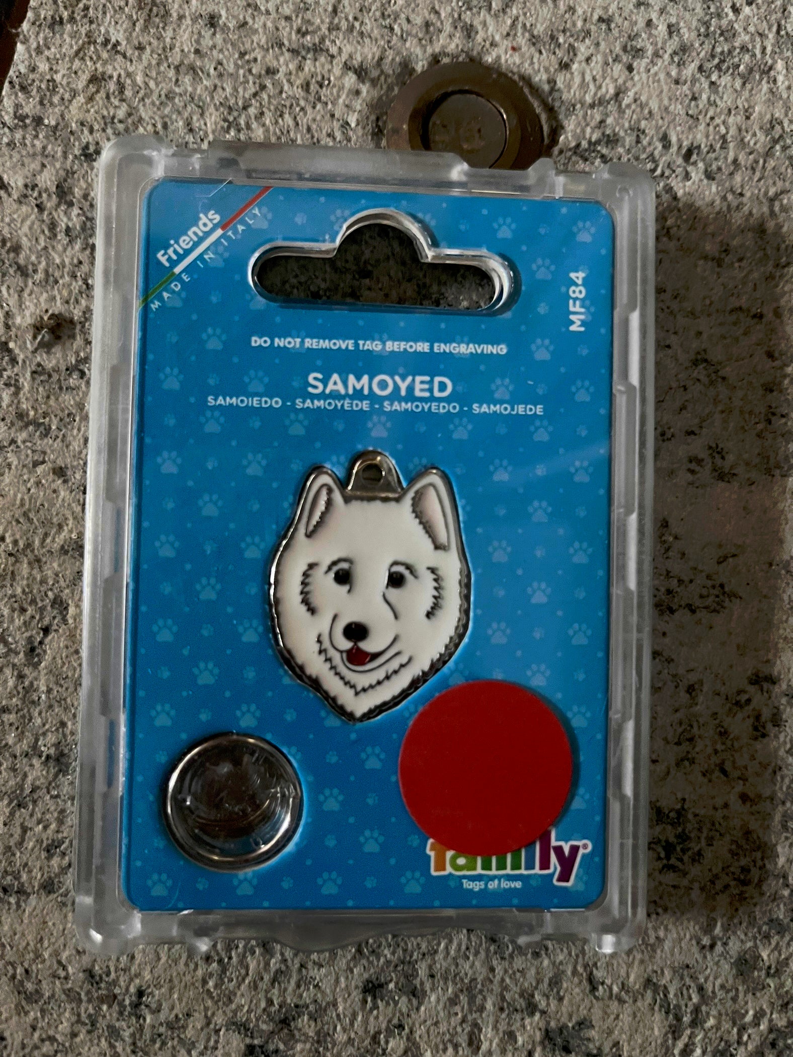 Medaglietta per cani samoiedo