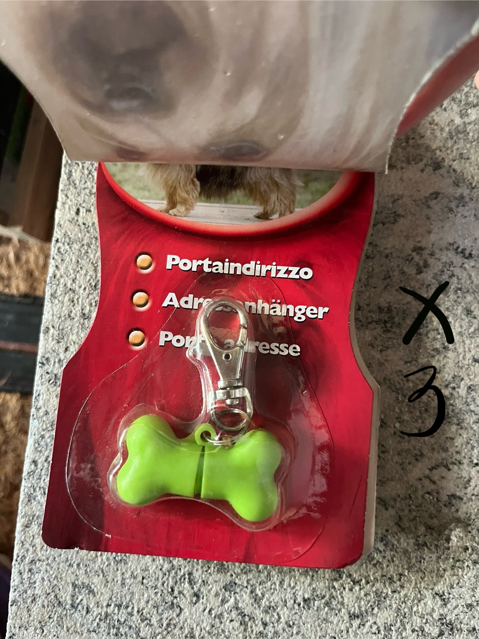 Medaglietta per cani osso porta indirizzo verde
