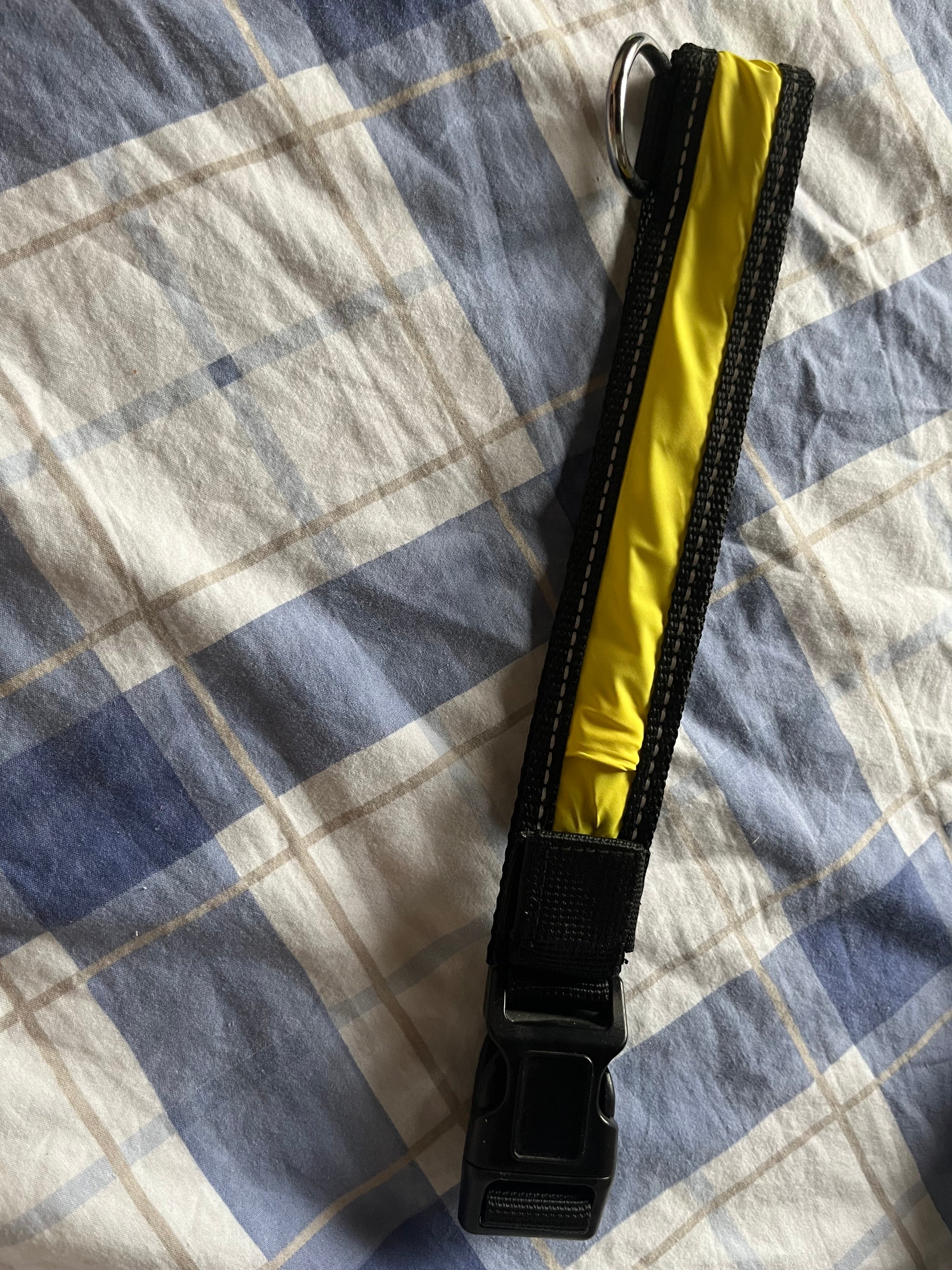 Collari per cani Giallo XL